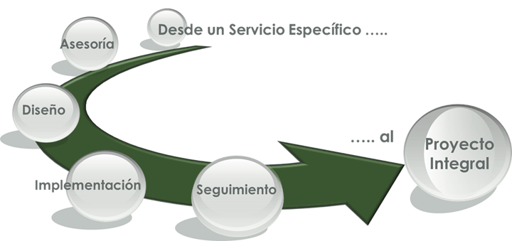 Servicio Específico - Proyecto Integral